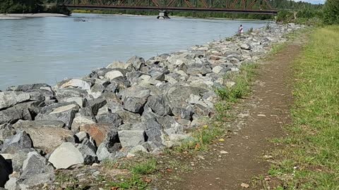 Talkeetna Alaska River walk