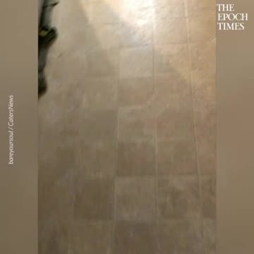 Advice for all of us right now