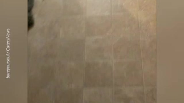 Advice for all of us right now