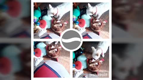 today video