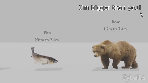 I'M BIGGER THAN YOU (ANIMAL SIZE COMPARISON)