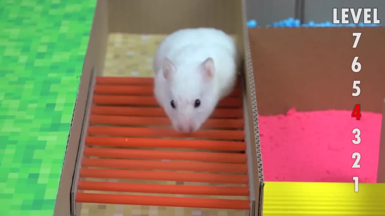 Hamster Minecraft Maze