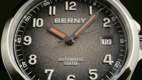 BERNY Frosted Dial Automatic Watch Men Luminous Mechanical Seagull ST2130 Wristwatch Sa