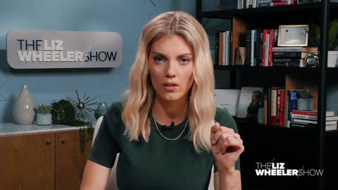 LIZ WHEELER'S REVIEW OF "TAKEDOWN" BY PAUL KENGER