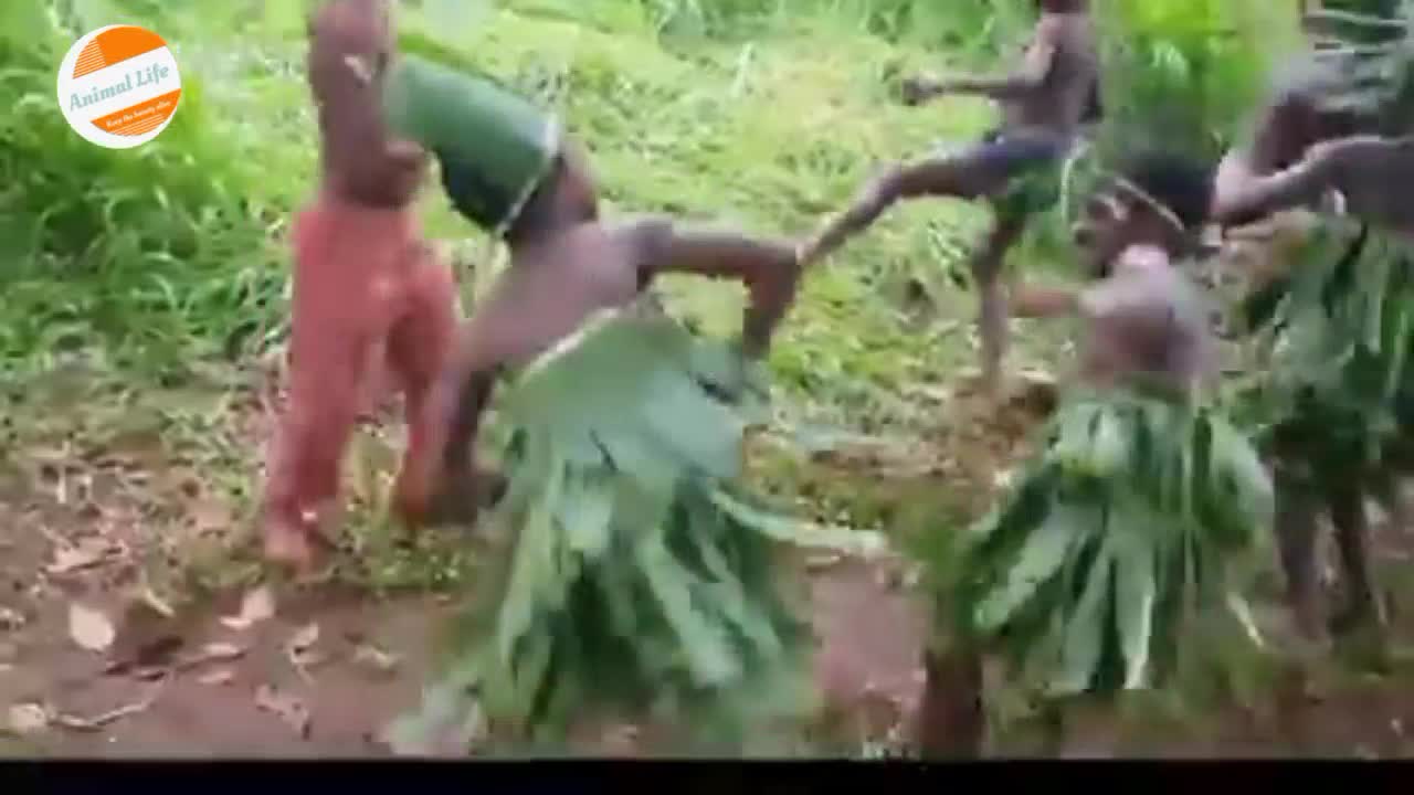 Forest Children of Africa