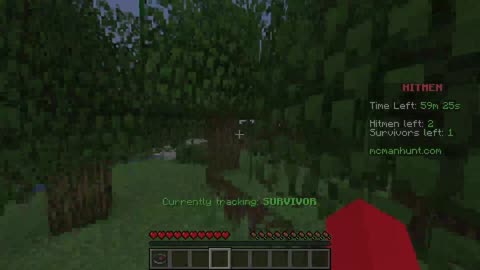 Minecraft Niger vs 2 Reggins