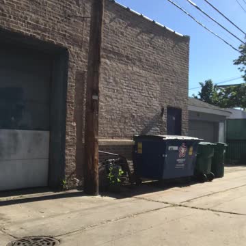 Alley of Illinois Morning