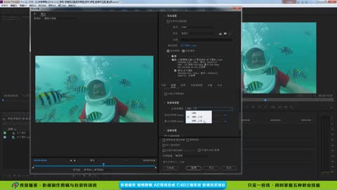 Export into film - export MP4 - fixed stream