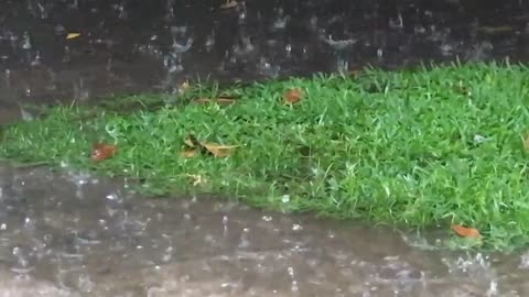 sleep fast to the noise of rain with the soft sound of thunder