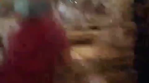 Guy tries arranging bottles but gets pushed on top of them