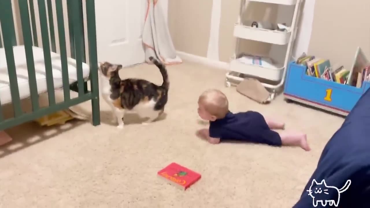 Kids play with Cats & Dogs