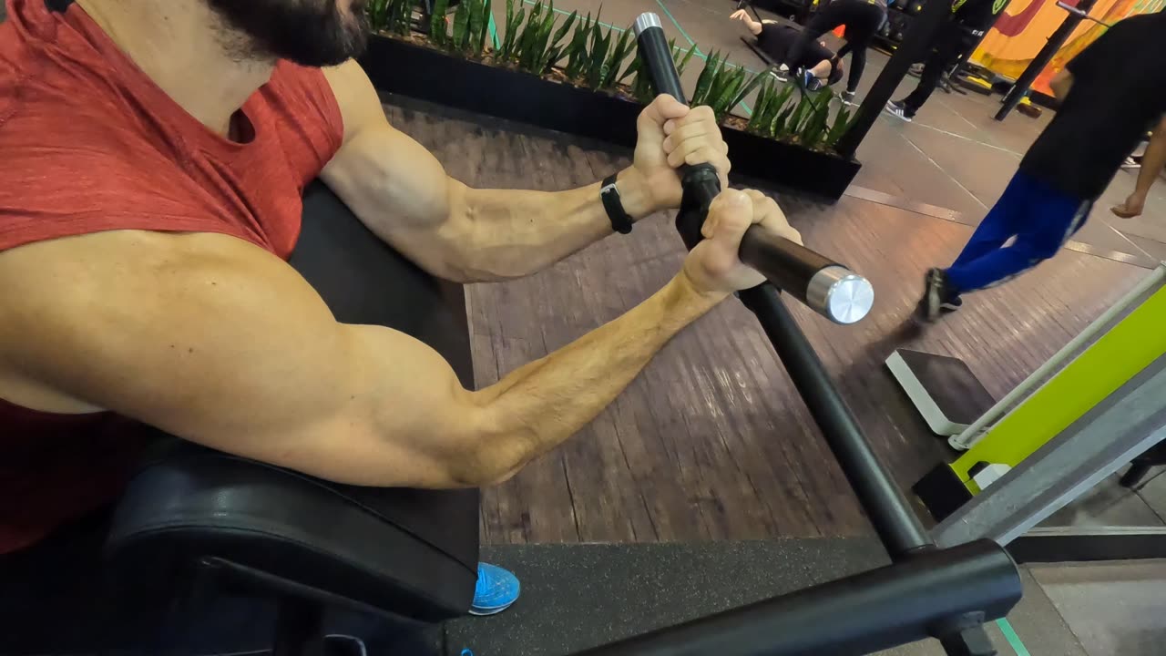 Triceps/Biceps