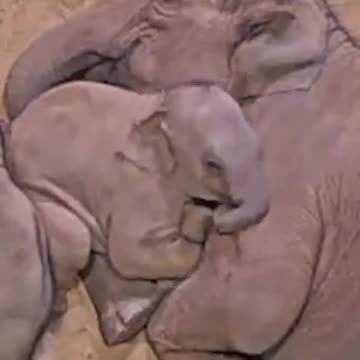 Very heartwarming moment 😊😍