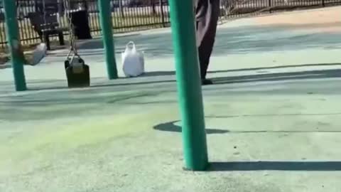 Grandpa does an impressive flip off a swing 😲