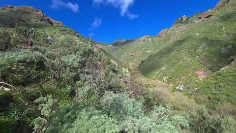 Mountain Natural video