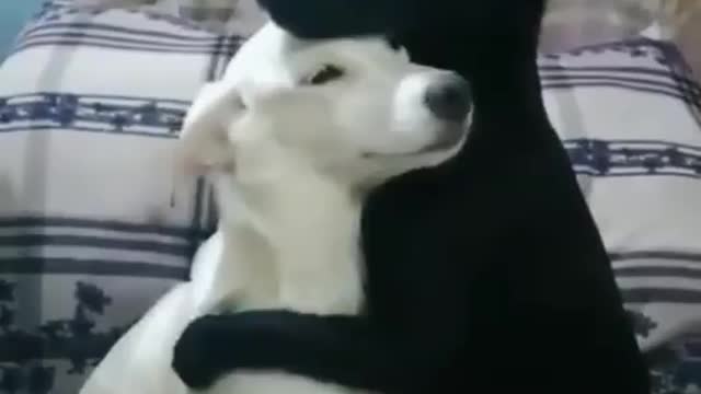 Do not worri , i am here
