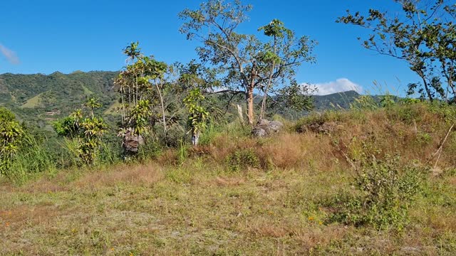 360 Degree View Building Lot Atenas, Costa Rica