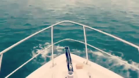 Collab copyright protection - red and green trunks jumps off boat