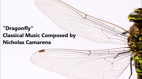 Music: "Dragonfly" Classical Music Composed by Nicholas Camarena