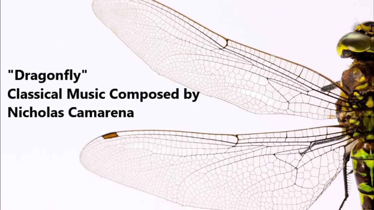 Music: "Dragonfly" Classical Music Composed by Nicholas Camarena