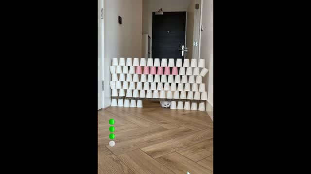 The Ultimate extravaganza. MIA Cat Challenges Mazes. VeryFunny.