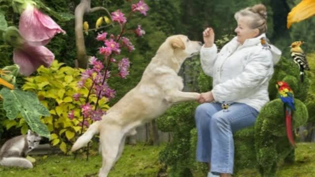 Photographer Rescues Dogs From Shelter And Changes Their Lives