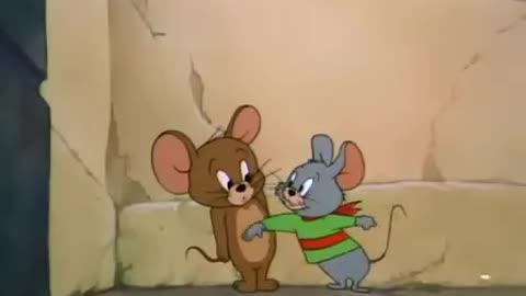 Tom and Jerry - Neapolitan Mouse