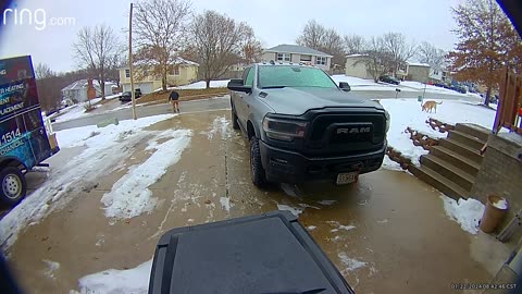 Man Slides Down Driveway and Into Street