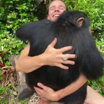 When the chimpanzee needs hug🦧