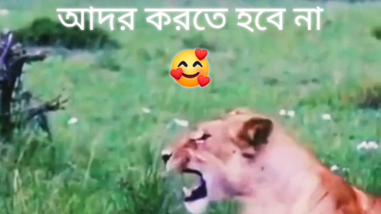 🥀কথাগুলো মিলে যাবে🌳🥀