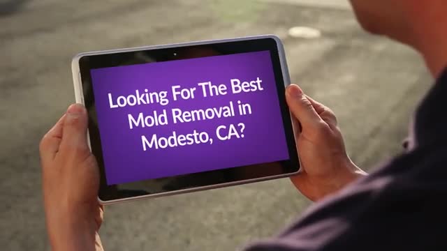 Modesto Mold Removal in Modesto, CA