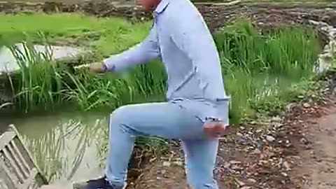 Funny videos 2024