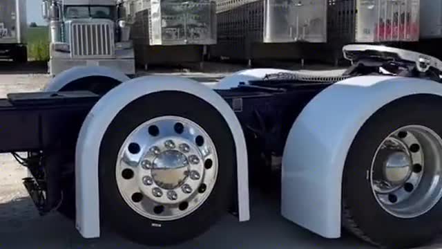 You say you are the king of the road, so who am I? The first perspective of truck driver