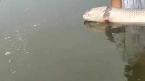 Best fishing video /Amazing fishing tiktok videop