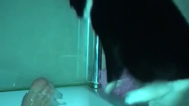 Cat startled by toes bathtub