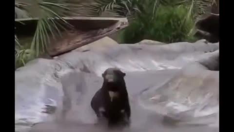 Departed for a radical dive