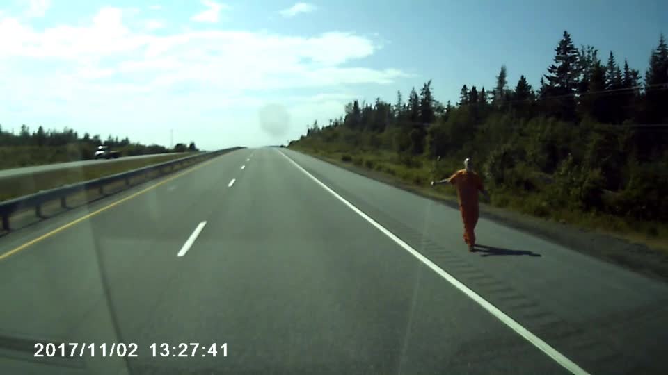 Hazardous Hitchhiker on the Highway