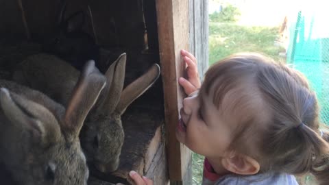 very cute video girl kissing bunnies