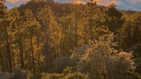 Beautiful view form the top of the hill.