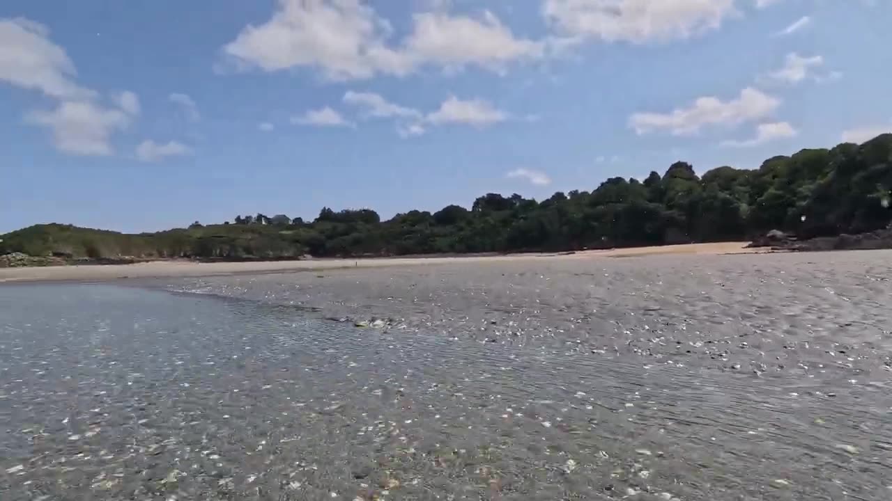 Metal detecting on france war beach! (day 7)🦦