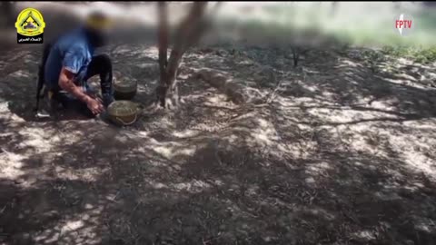 Al-Aqsa Martyrs Brigades fighters laying anti-vehicle landmines inside a combat area, 7 Oct 2024