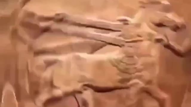 ̶E̶̶V̶̶E̶̶R̶̶Y̶̶T̶̶H̶̶I̶̶N̶̶G̶ ̶L̶̶I̶̶E̶̶D̶