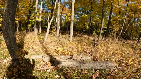 🌴🍂🍀 Fall Edition Hiking The NCC Trails In Ottawa 🍁Canada ☀️