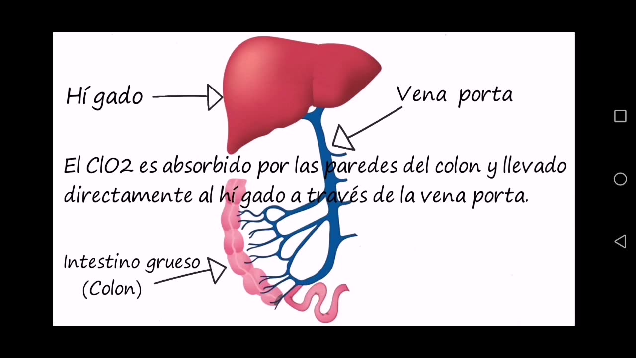 Protocolo R