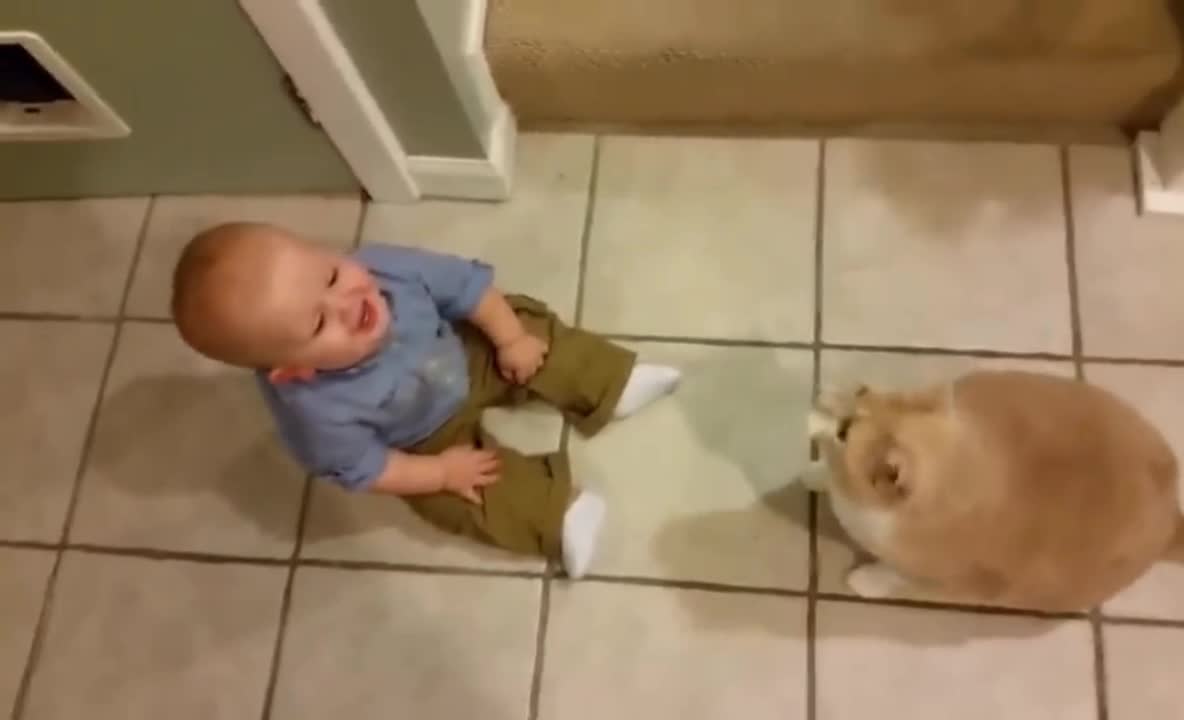 Baby's hilarious laughing to see dog 😅