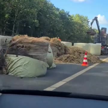 Good Luck Cleaning This Up: These Dutch Farmers Aren't Joking