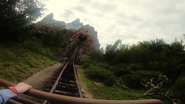 Walt Disney World Animal Kingdom Expedition Everest