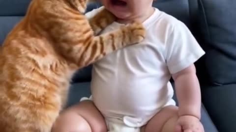 Cat & child love cute sweet