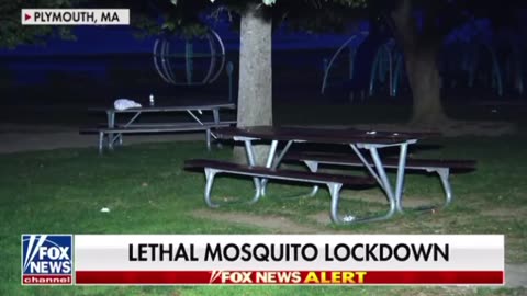 Lethal Mosquito Lockdown