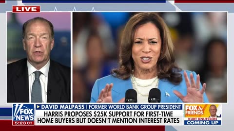 'NOT GOOD FOR THE ECONOMY' David Malpass reveals impact from Harris' policy speech